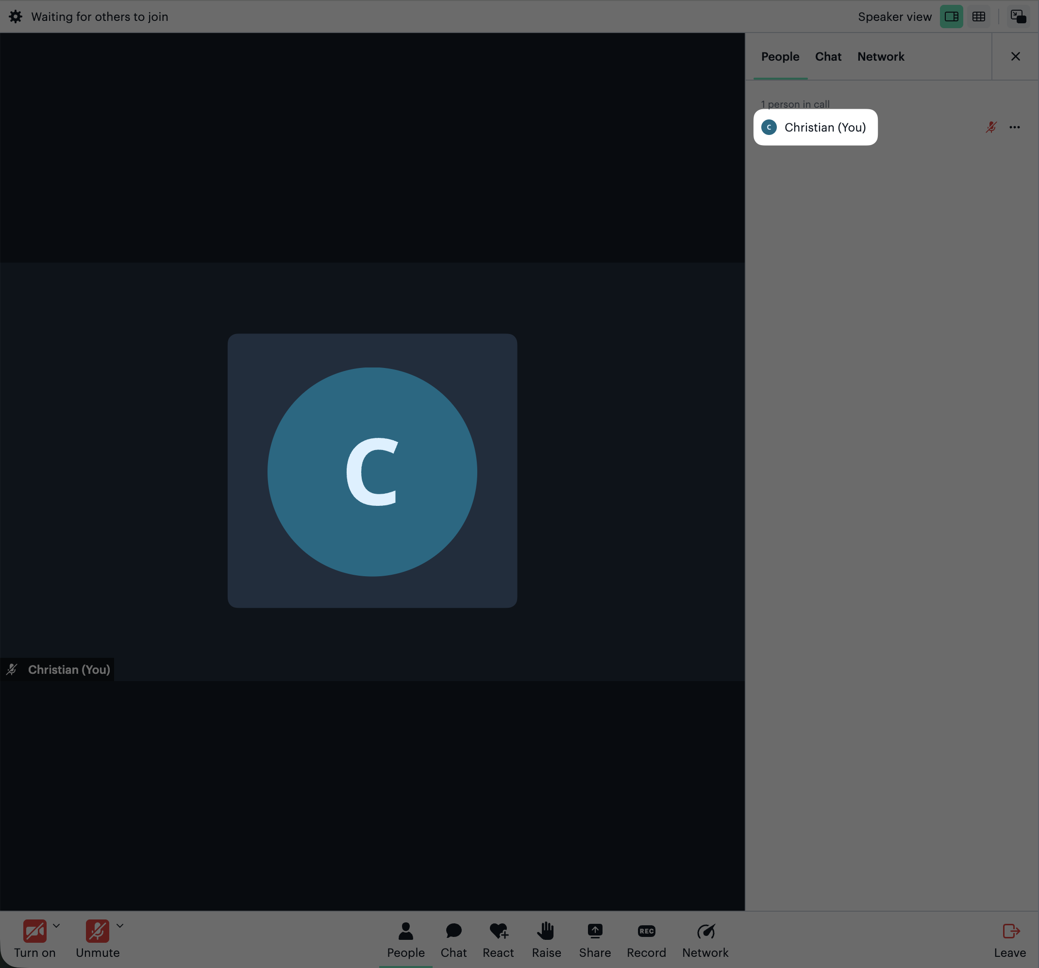 Video call with one participant using custom avatar image